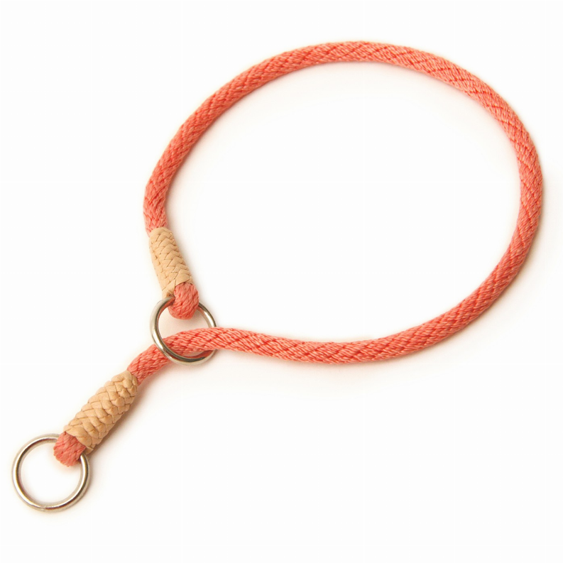 Alvalley Nylon Slip Dog Collar