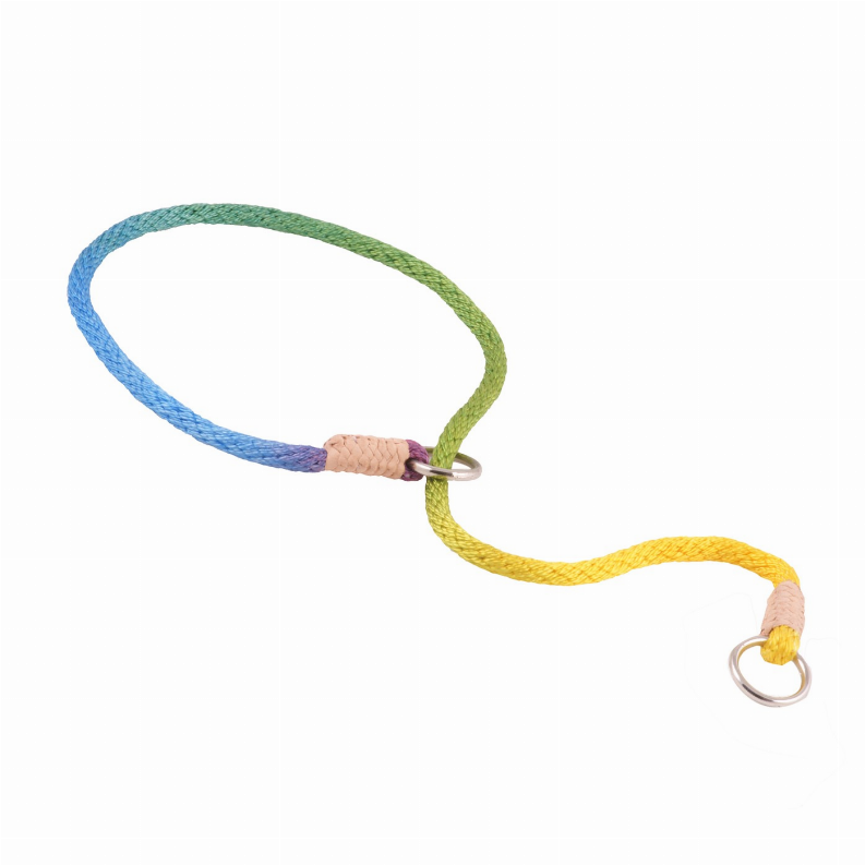 Alvalley Nylon Slip Dog Collar