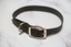 Biothane Buckle Dog Collar