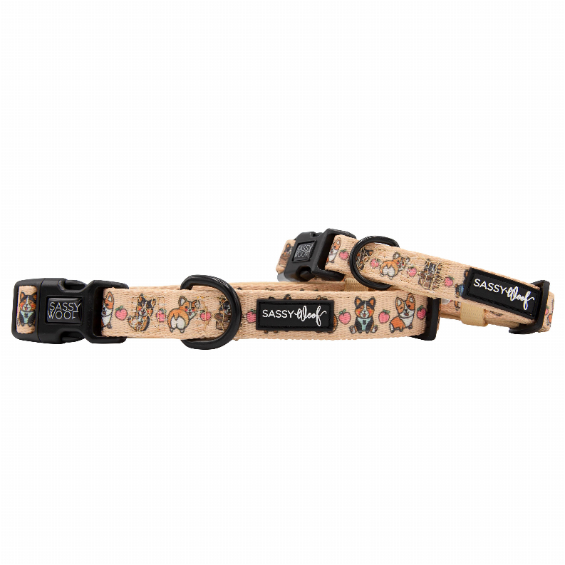 Sassy Woof Dog Collars