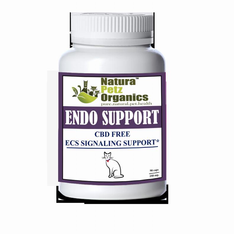 Endocannabinoid System Support For Cats