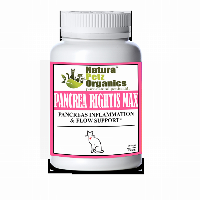 Pancrea Rightis Max Support Capsules Pancreas Inflammation & Flow Support for Cats