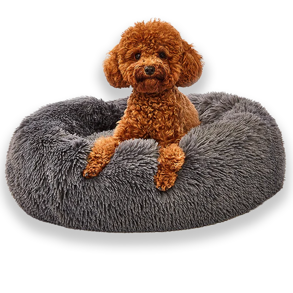 Donut Dog Bed