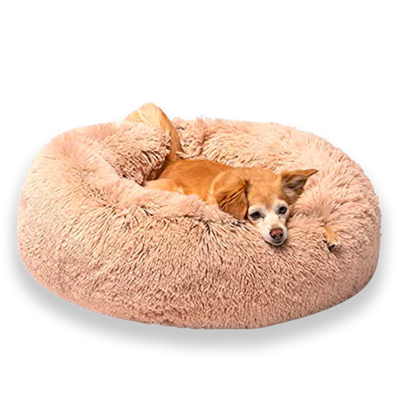 Donut Dog Bed