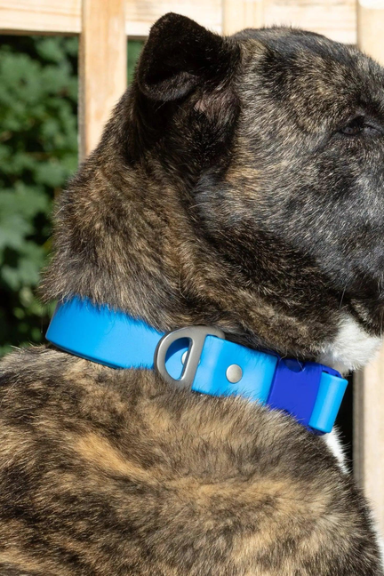 Waterproof Dog Collar