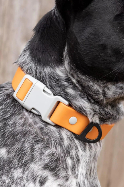  Waterproof Dog Collar