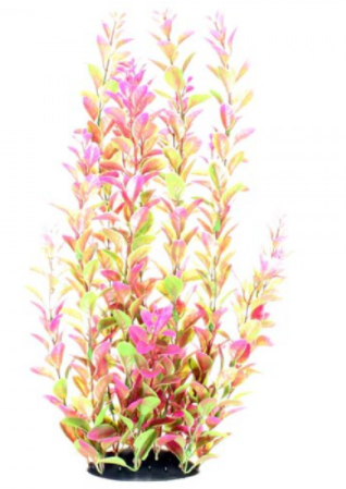 Underwater Treasures Pink Ludwigia - 14"