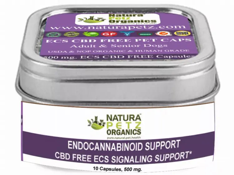 Endocannabinoid System Support For Dogs & Cats CBD free