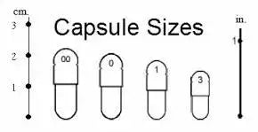 Endocannabinoid System Support For Dogs & Cats capsule sizes