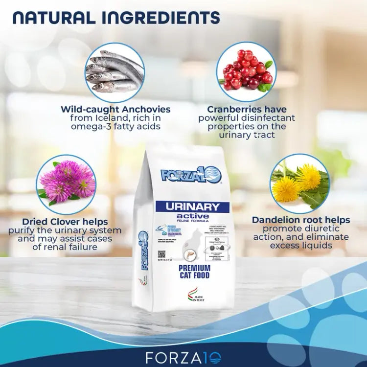 Forza10 Active Urinary Dry Cat Food Natural Ingredients