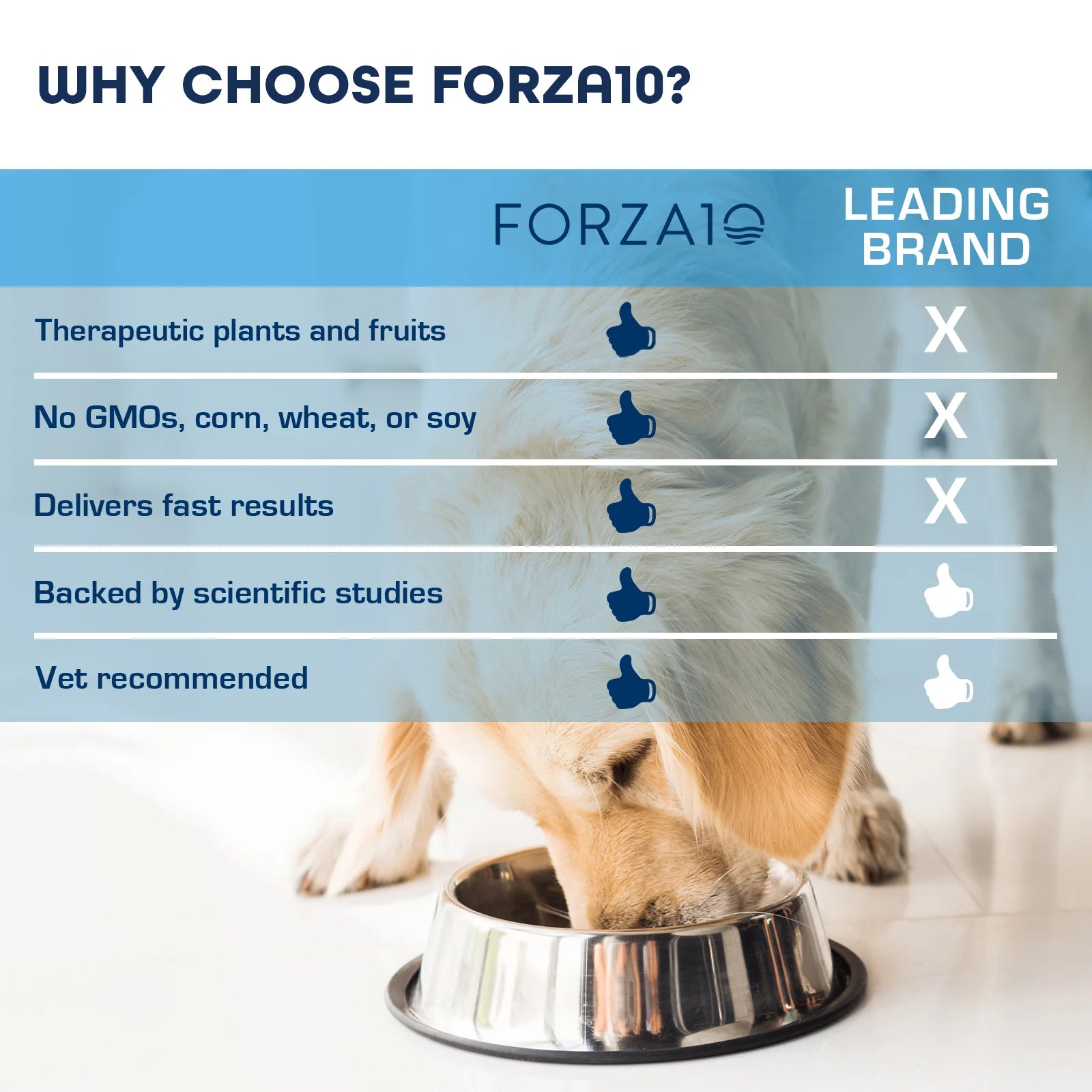 Forza10 Legend Skin Grain-Free Dry Dog Food No GMOs